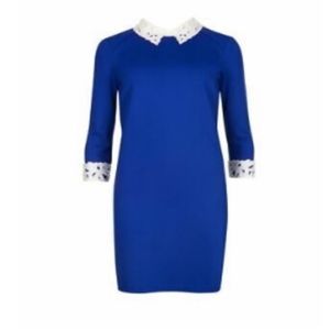 Ted Baker Lace Collar Tunic Dress